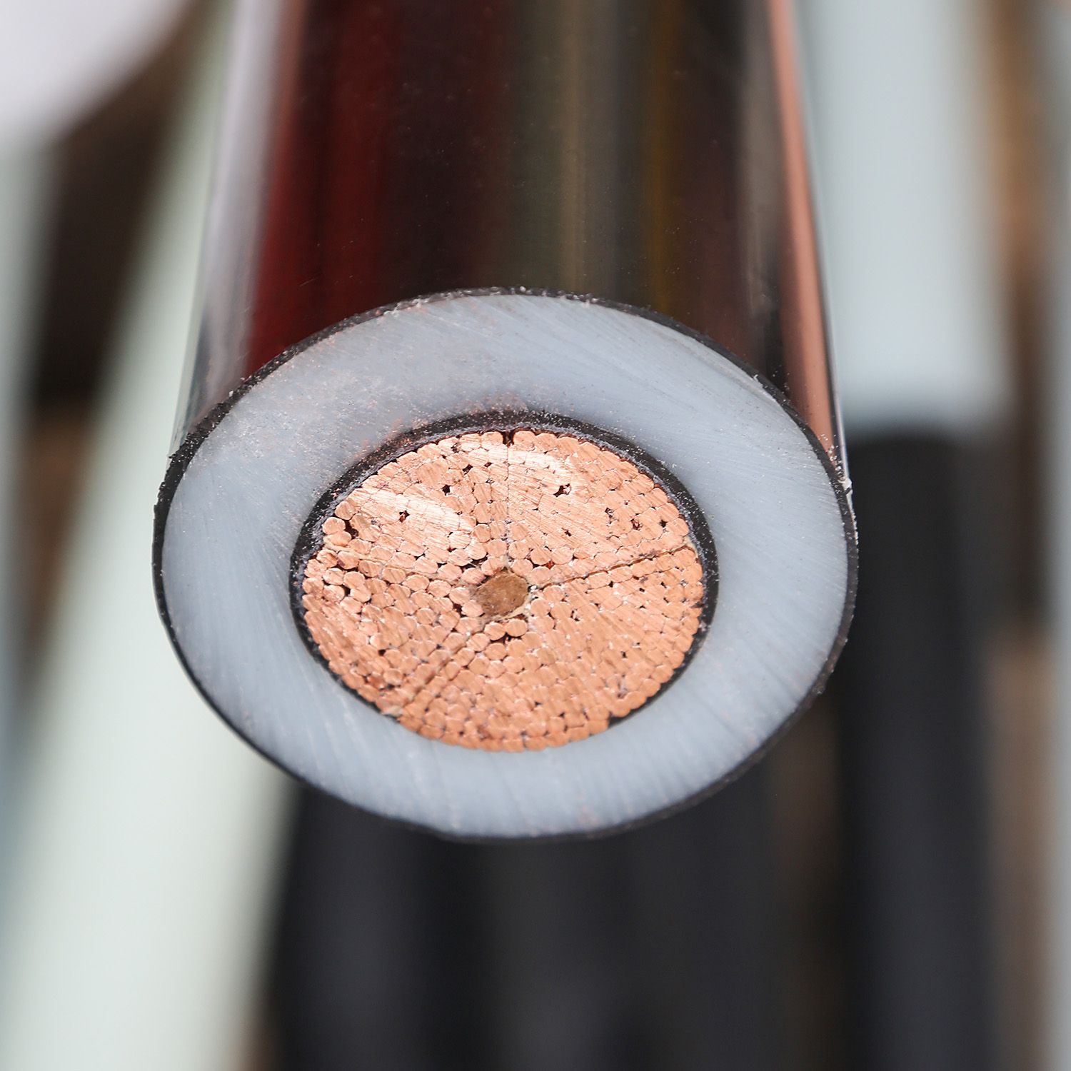 Medium Voltage Power cables: what you need to know about XLPE Insulation and Steel Armoring?